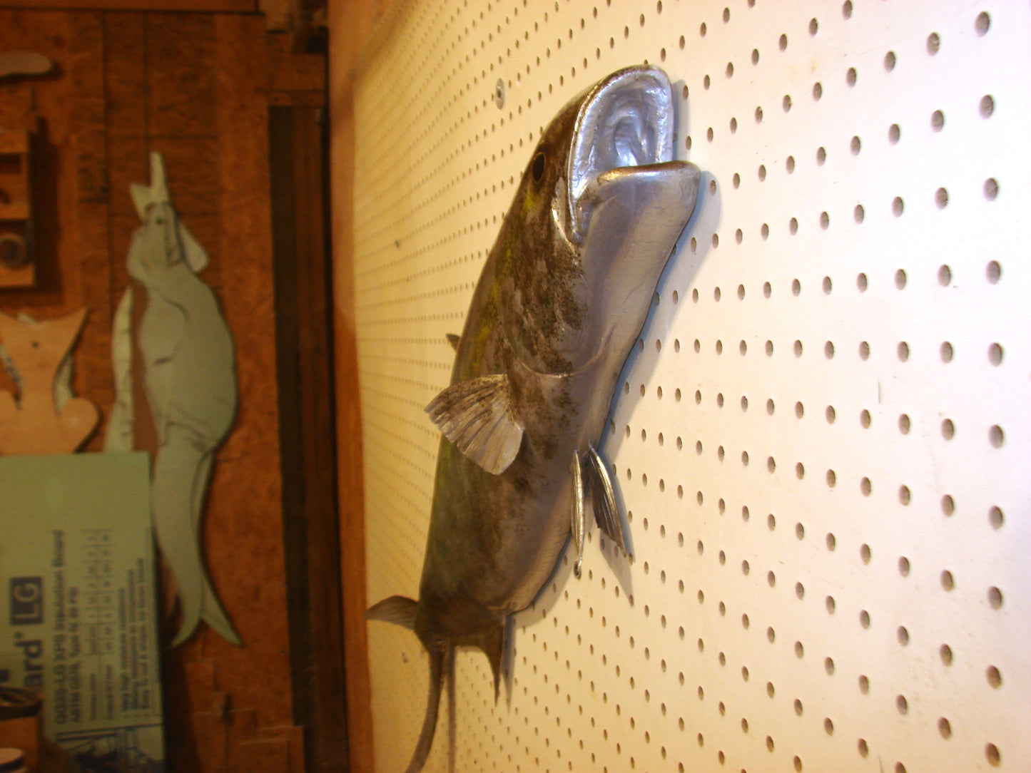 36" Amberjack FREE SHIPPING