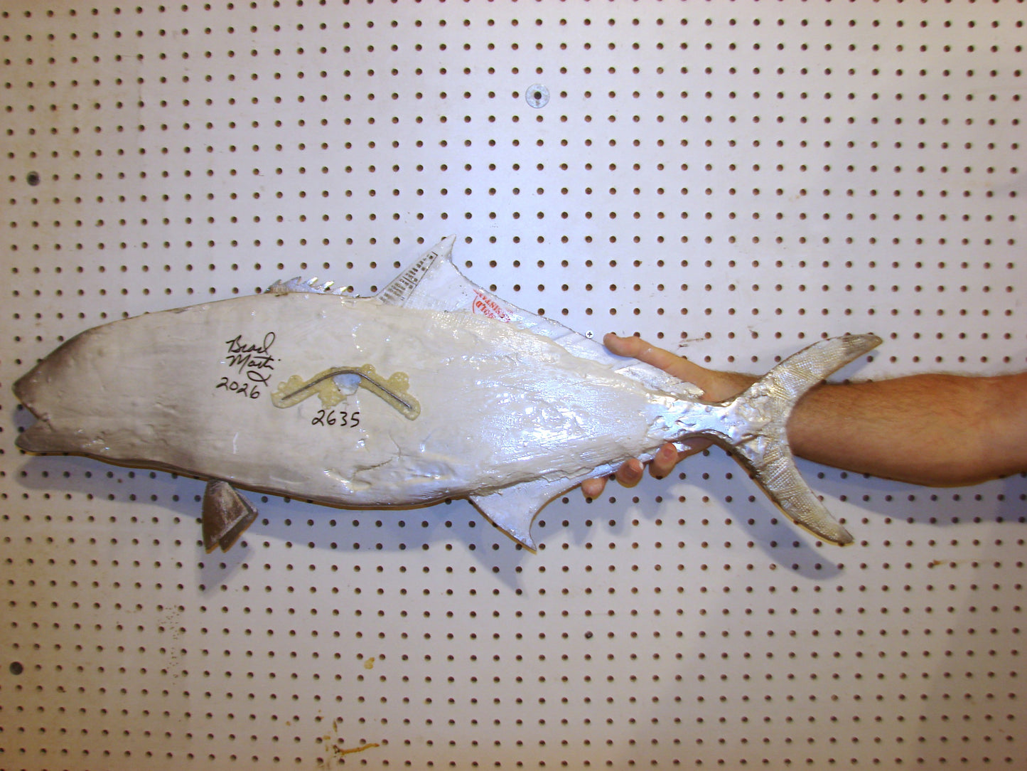 36" Amberjack FREE SHIPPING