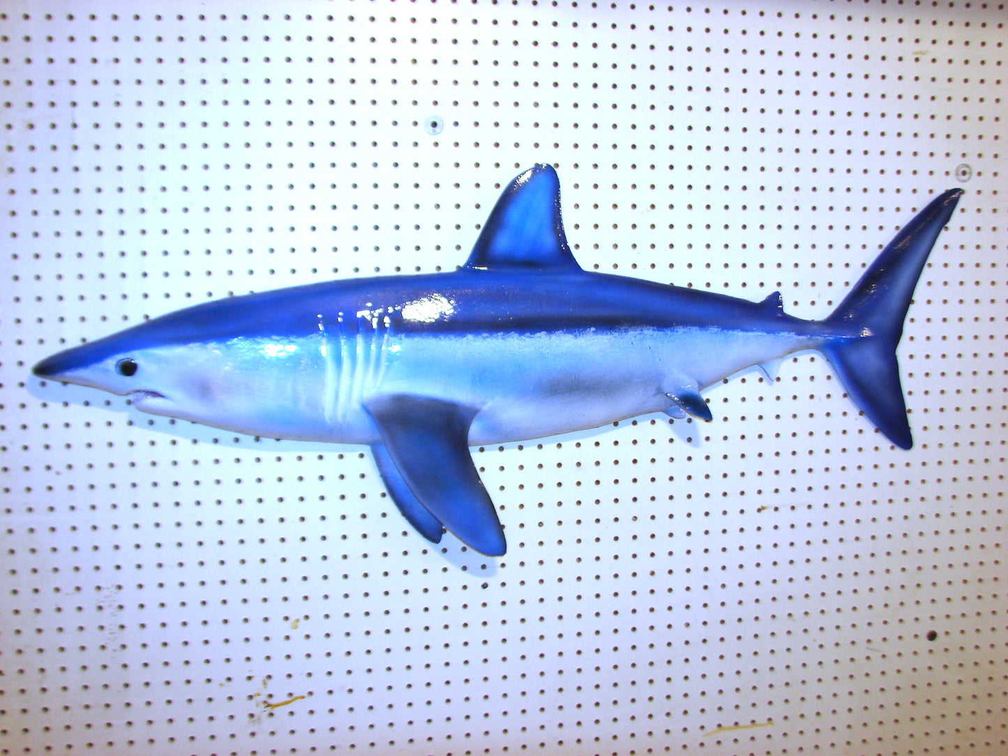 48" Mako Shark #2 FREE SHIPPING