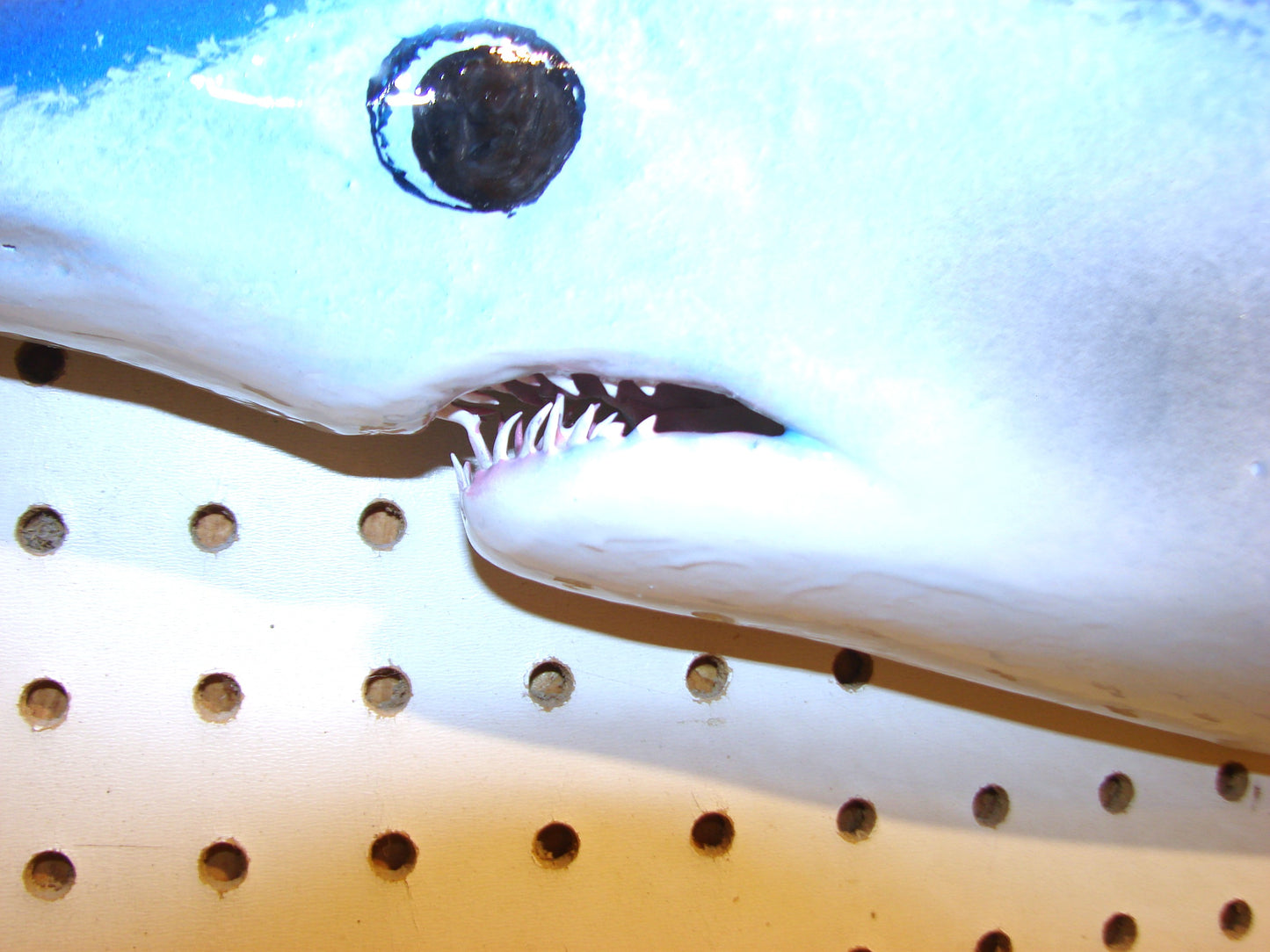 48" Mako Shark #2 FREE SHIPPING