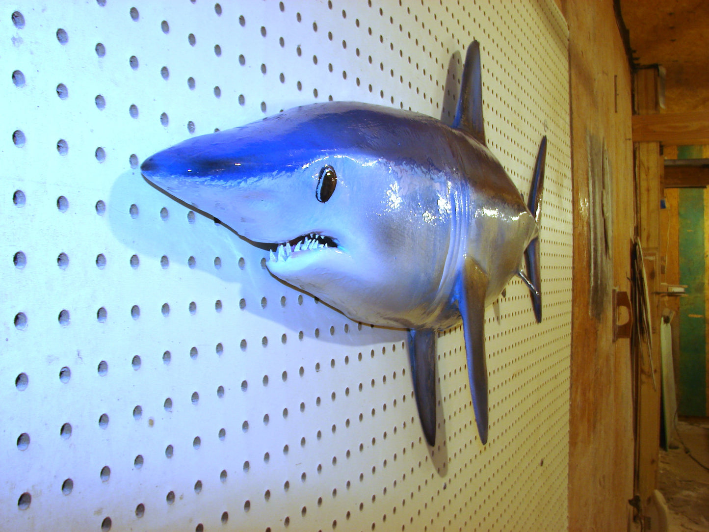 48" Mako Shark #2 FREE SHIPPING