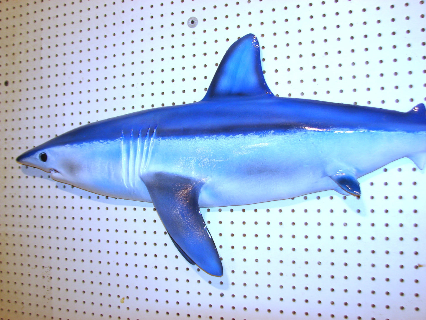 48" Mako Shark #2 FREE SHIPPING