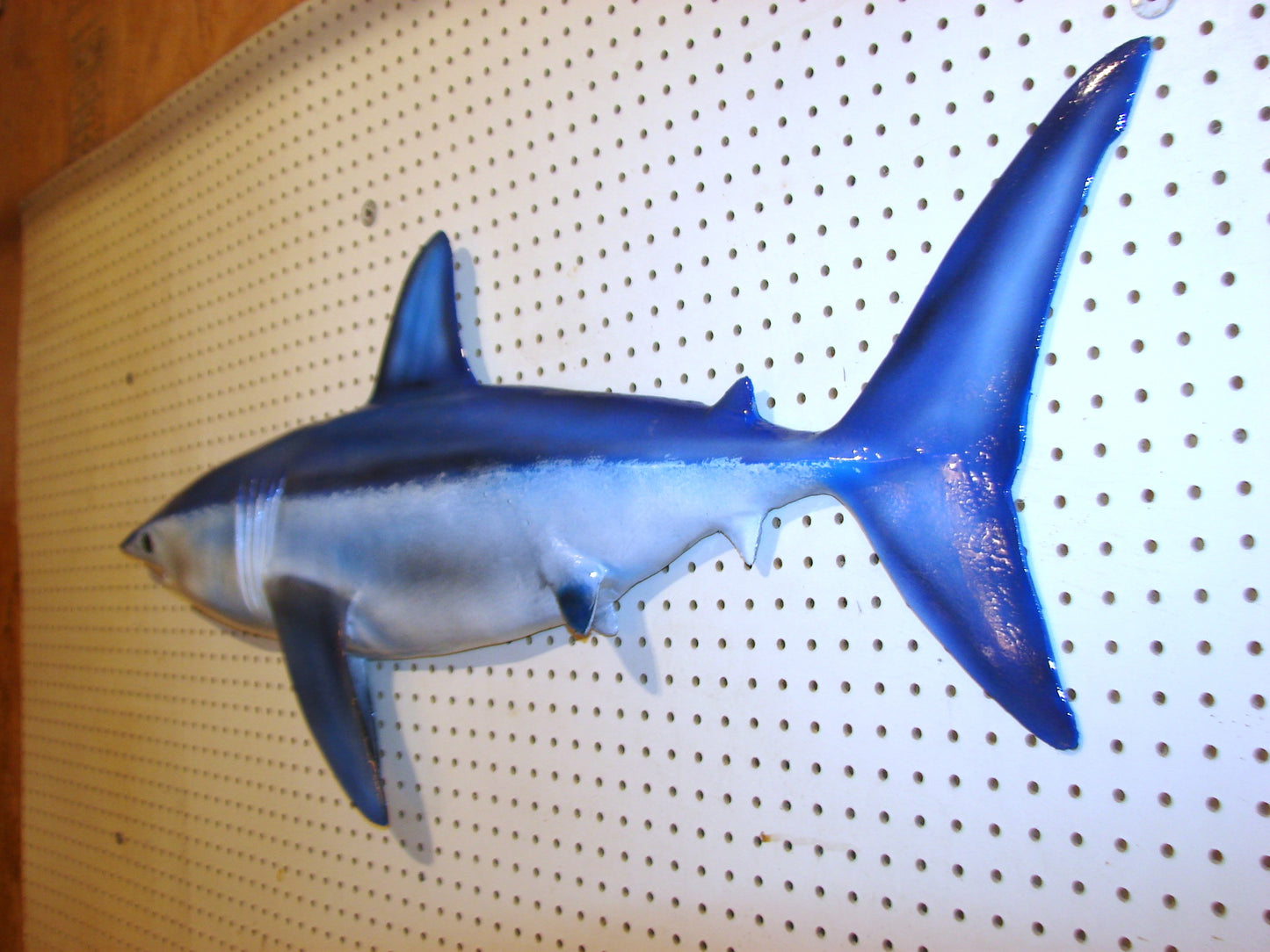 48" Mako Shark #2 FREE SHIPPING