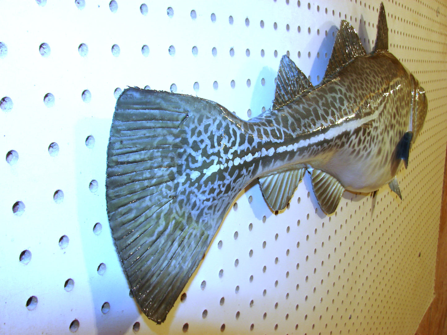 33" Atlantic Cod Fish Wall Mount | Handmade Wildlife Art