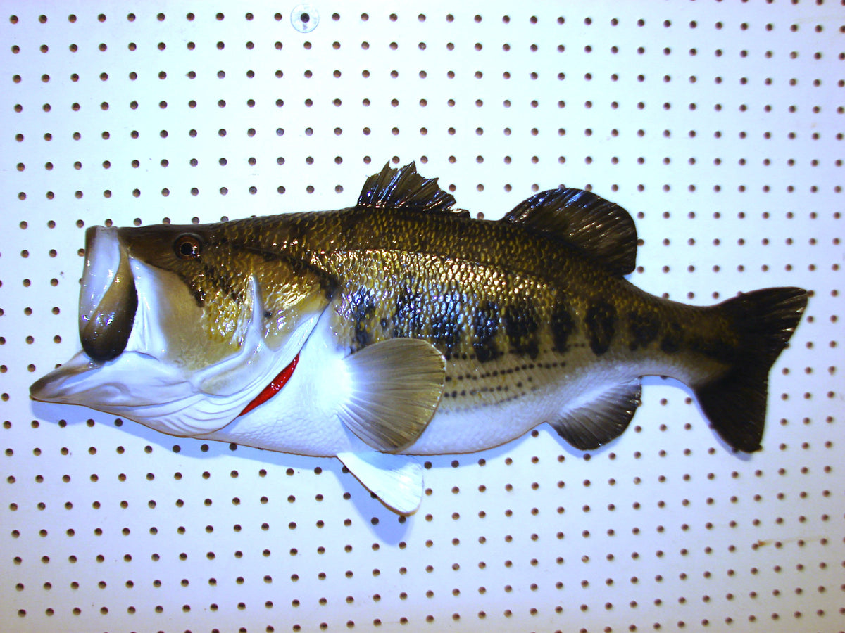 28" Largemouth Bass FREE SHIPPING