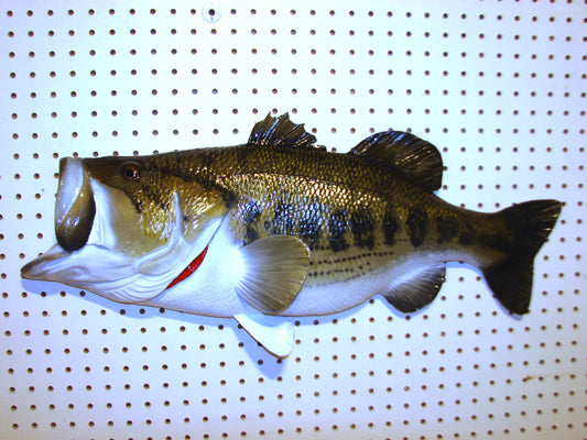 28" Largemouth Bass FREE SHIPPING