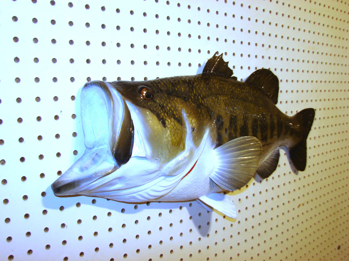 28" Largemouth Bass FREE SHIPPING