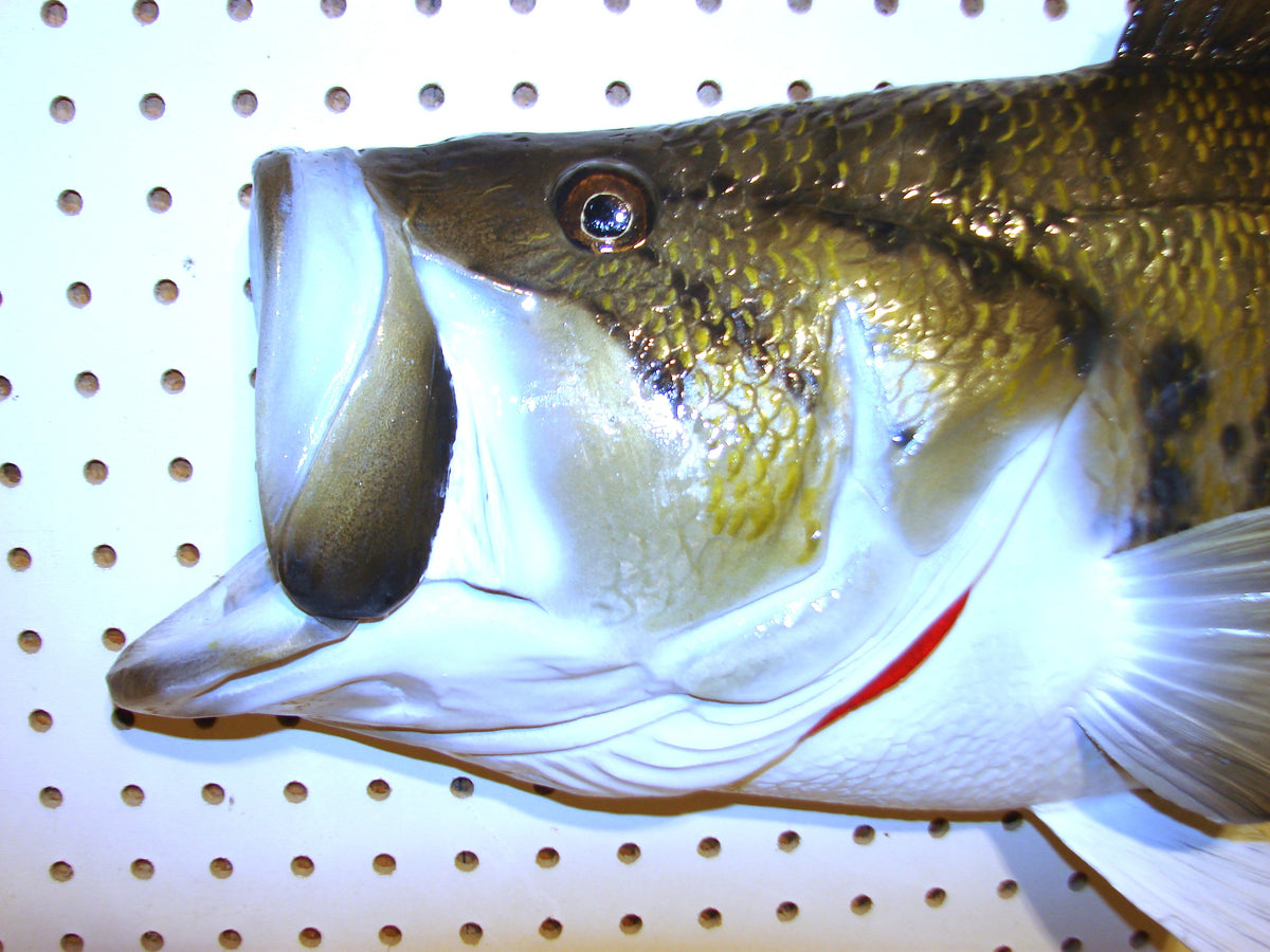 28" Largemouth Bass FREE SHIPPING