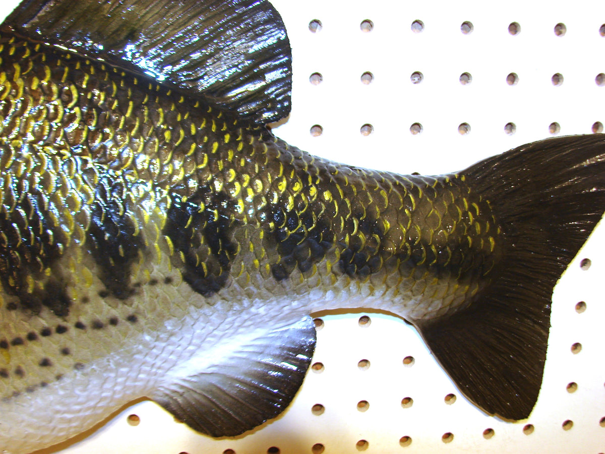 28" Largemouth Bass FREE SHIPPING