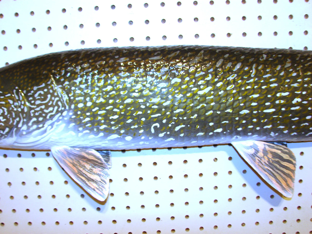 41" Northern Pike FREE SHIPPING