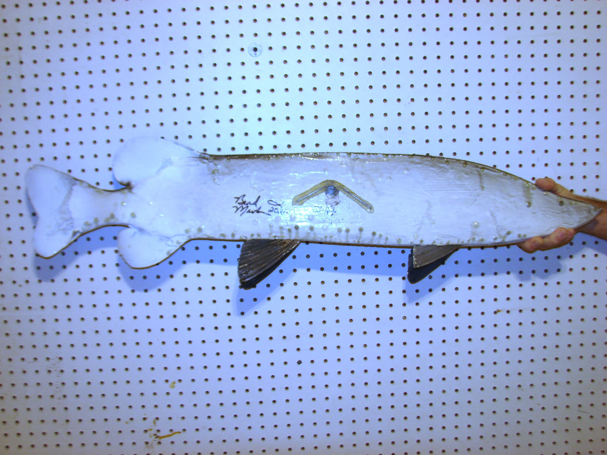 41" Northern Pike FREE SHIPPING