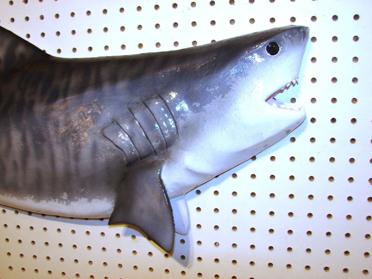 41-Inch Tiger Shark Carving – Fish Wall Mount