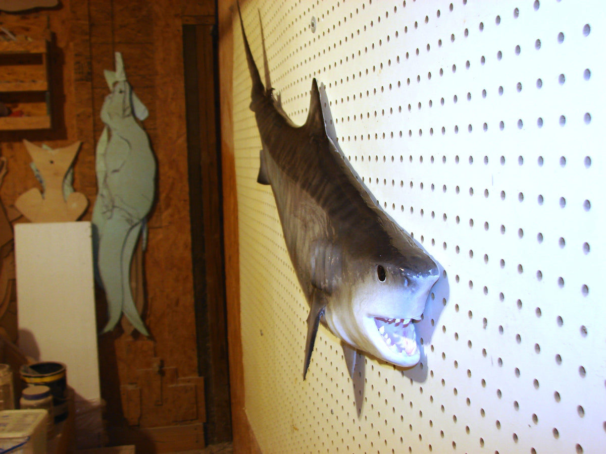 41-Inch Tiger Shark Carving – Fish Wall Mount